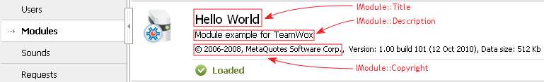 IModule Interface Methods Displaying Information About the Module