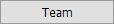 Team Team